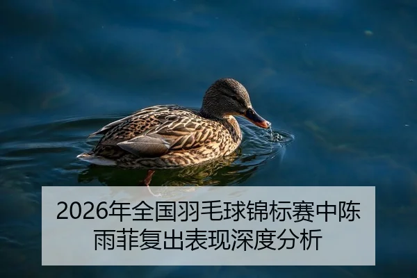 2026年全国羽毛球锦标赛中陈雨菲复出表现深度分析