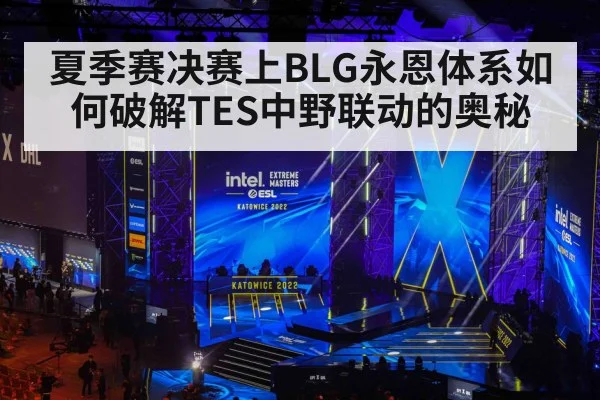 夏季赛决赛上BLG永恩体系如何破解TES中野联动的奥秘